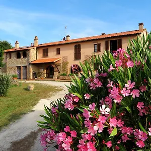  Apartment Valdicciola Italien